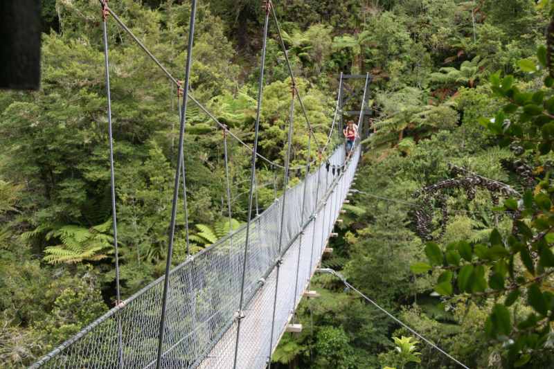 Nieuw-Zeeland 2011 - 1023